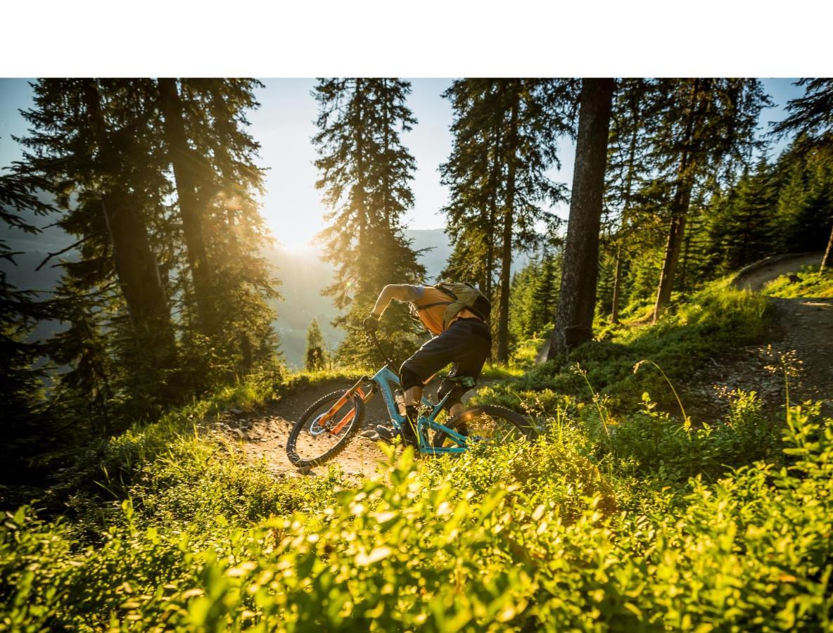 Apartments Niederseer Saalbach-Hinterglemm Zewnętrze zdjęcie